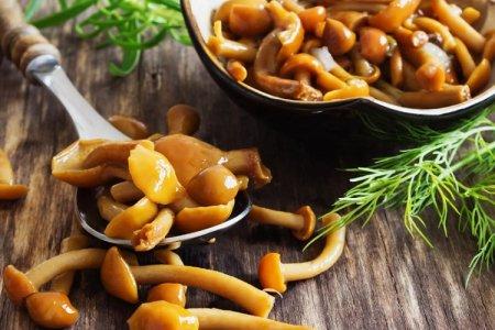 20 delicious pickled mushroom recipes