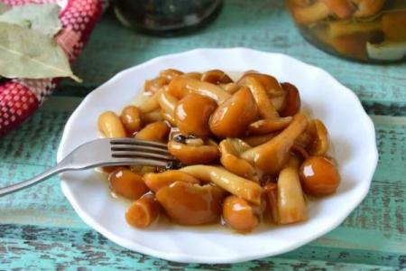 How and how much to cook honey mushrooms: cooking secrets