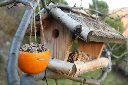 DIY bird feeder: 12 original ideas