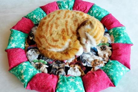 Do-it-yourself cat bed: 11 simple ideas