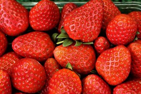 The best remontant varieties of strawberries: names and photos