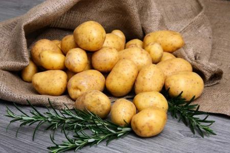 The best potato varieties: photos, names and descriptions (catalog)