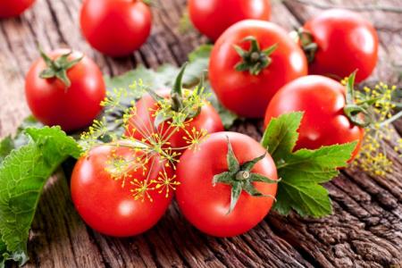 The best varieties of tomatoes for greenhouses: photos, names and descriptions (catalog)