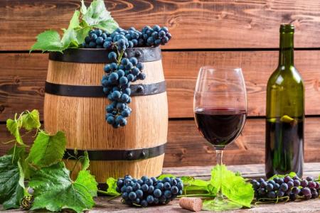 The best grape varieties for wine: photos, names and descriptions (catalog)