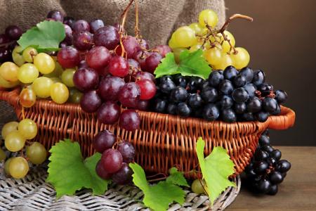 The best grape varieties: photos, names and descriptions (catalog)