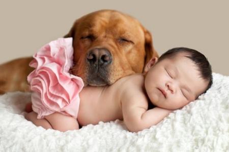 Small children and their big dogs: 10 soulful photos